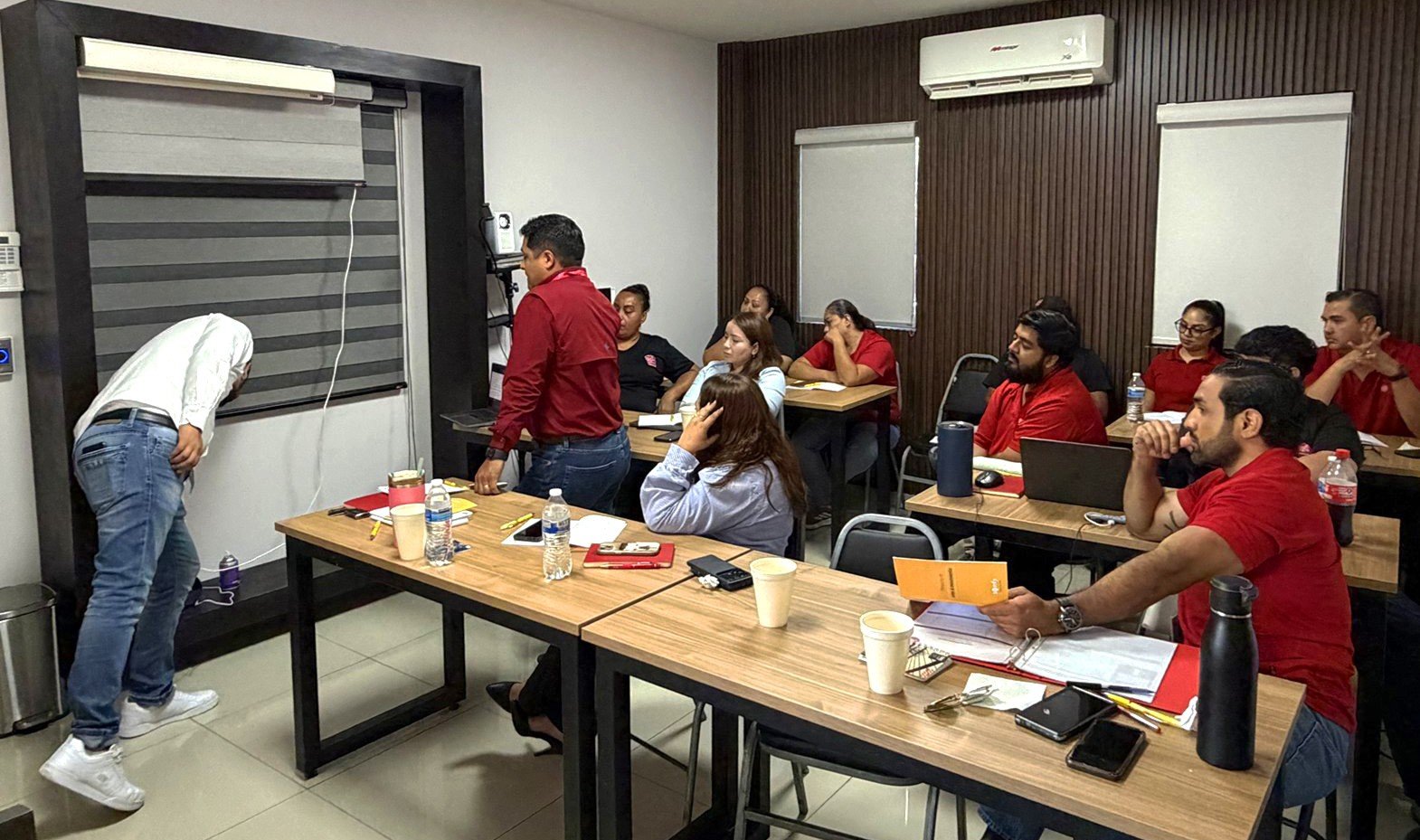 automatización Somfy Monterrey